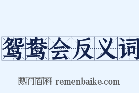 鸳鸯会反义词是什么意思的图片